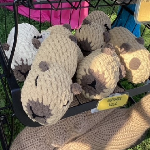 Capybaras